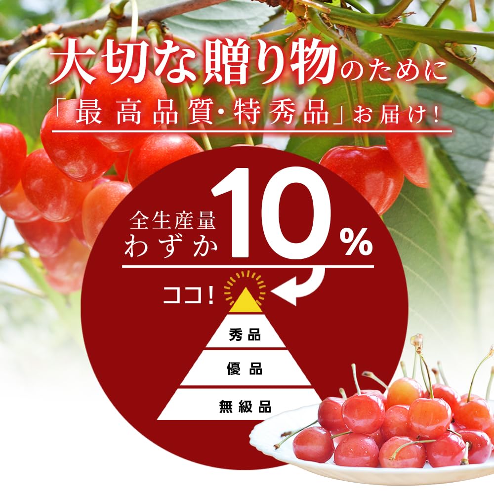 Amazon.co.jp: 特秀 2L 山形県産 さくらんぼ佐藤錦 or 紅秀峰 1kg